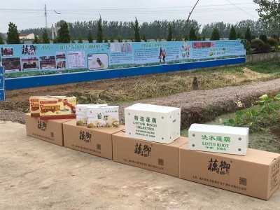 莲藕加工特色品有藕夹、藕饼、藕圆子、藕带、藕片、排骨藕汤等。图5