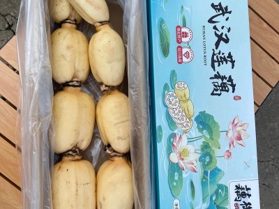 莲藕加工特色品有藕夹、藕饼、藕圆子、藕带、藕片、排骨藕汤等。图7